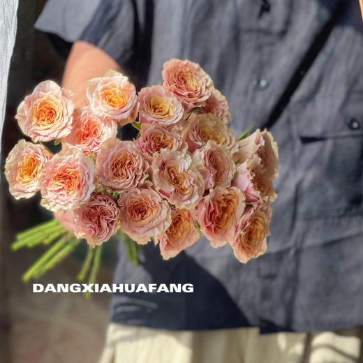 【旧时光玫瑰.7份福利秒杀】18支送2支/份   颜色像微微泛黄的老照片   带点复古感的粉橙复色 商品图10