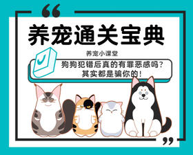 狗狗犯错后真的有罪恶感吗？其实都是骗你的！