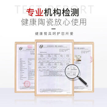 亿嘉（IJARL） 碗盘套装北欧餐具套装陶瓷餐具碗碟套装家用陶瓷套装 路易20头 商品图2