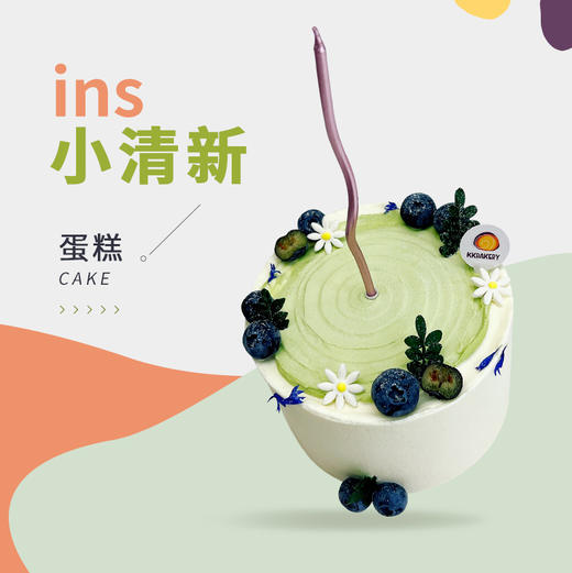 ins小清新蛋糕 商品图0