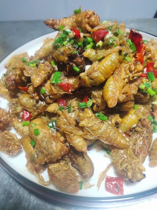 特大知了100只 商品图6