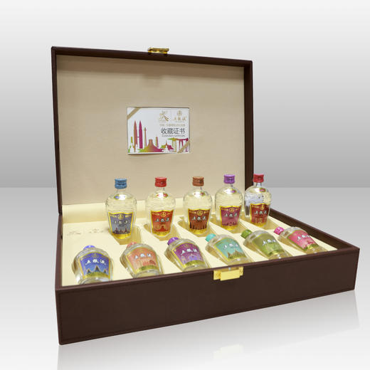 52度五粮液 中国—东盟博览会纪念酒50ml×11 礼盒 商品图2