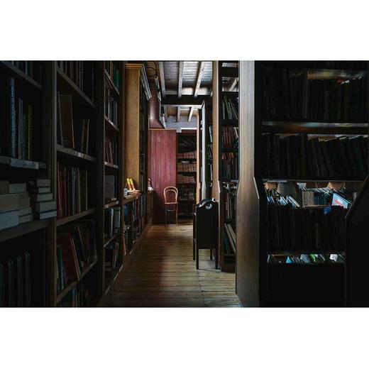 谷物06.如何拥有一片森林 商品图2