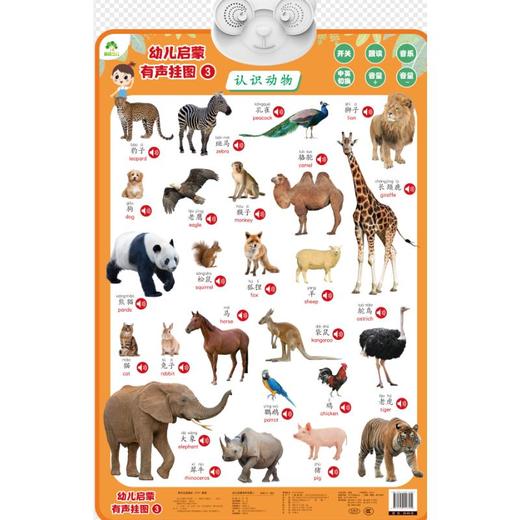 幼儿启蒙有声挂图 3 商品图0
