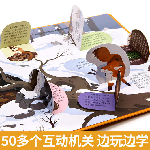 神奇的动物立体书儿童3d立体书翻翻书揭秘系列宝宝绘本一岁故事书2-3-4-5-6-7-8-12岁以上情景体验认知幼儿启蒙孩子关书早教书籍 商品图3