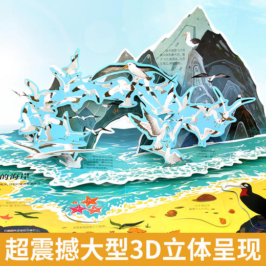 探秘海洋立体书3d揭秘系列儿童翻翻书6-8岁以上绘本故事书海底世界科普百科全书宝宝启蒙认知三地折叠书本幼儿园婴儿3岁情景体验 商品图2