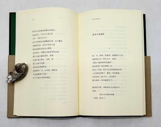 预售！！巴别塔诗典精装5种：《巴黎的忧郁》《迟来的旅行者》《遗失的赤luo》《在冬日光线里》《眼睛后面》，精装，波德莱尔、赫列勃尼科夫、李立扬、雅各泰、勒内.夏尔等著，人民文学出版社2020年左右版 商品图7