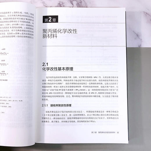 聚丙烯改性及其应用 商品图7