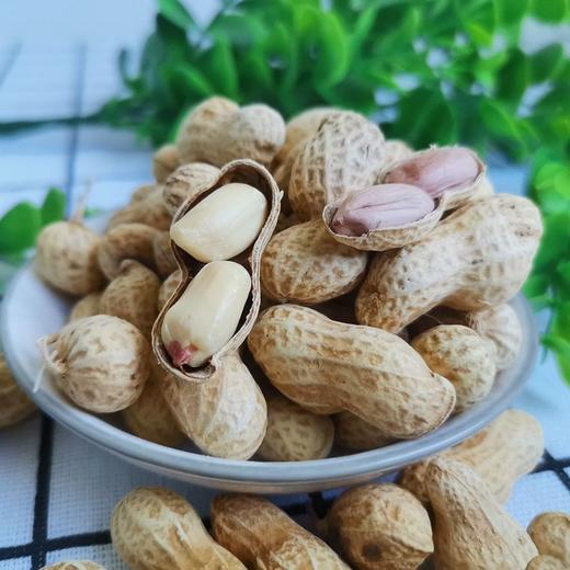 红丰亮陈皮味花生350g咸干酥脆坚果炒货零食小吃广东鹤山特产 商品图2