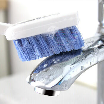 茶花 鞋刷衣服刷子硬毛刷鞋刷子洗衣刷洗鞋地刷马桶刷清洁刷鞋神器* 商品图3