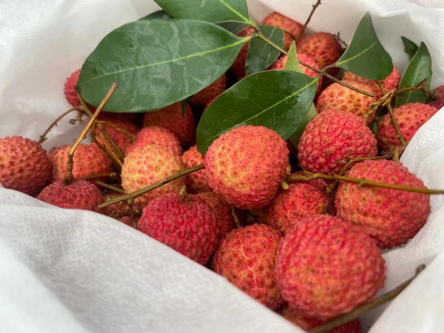 明亮的"胭脂红",细腻的奶白色果肉,柔滑细嫩,甜中夹带着浓蜜感,余味