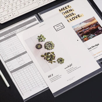 天章(TANGO)30个A4透明文件套L型文件夹单片两页式办公收纳文件袋发票袋加厚防水防尘二页式资料袋档案夹 商品图1