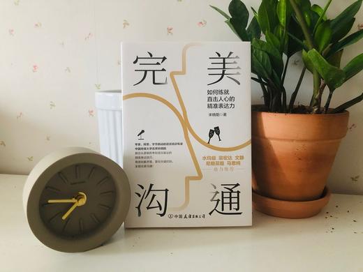(仓发) 完美沟通 /中国友谊出版公司/宋晓阳/9787505748859 商品图2