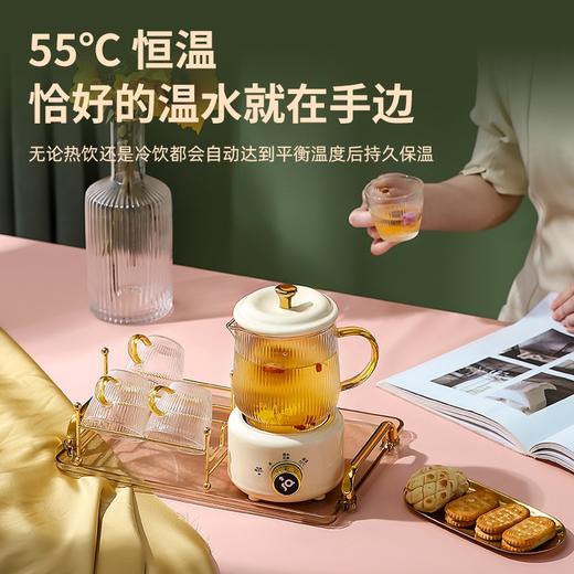 迷你养生壶办公室小型煮茶壶mini小型煮茶器家用多功能花茶养生杯 商品图3