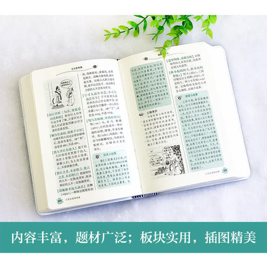 小学生多功能工具书套装(全新升级版＋赠《易错易混字词一本通》同步教材) 商品图4