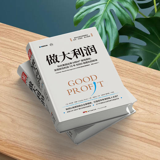 做大利润：全球蕞大私企之一如何实现利润的5000倍增长 商品图2