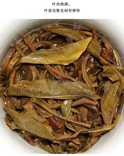 【滋味浓醇】同庆号 2021年古道倚邦 普洱生茶 60g/罐（天猫同款） 商品图3