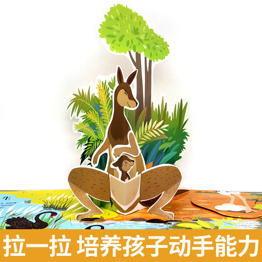 神奇的动物立体书儿童3d立体书翻翻书揭秘系列宝宝绘本一岁故事书2-3-4-5-6-7-8-12岁以上情景体验认知幼儿启蒙孩子关书早教书籍 商品图4