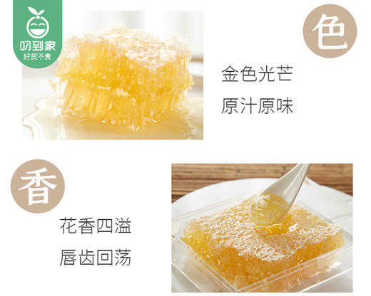 筑蜂堂蜂巢蜜/1盒（250g）生产日期：25年10月补单专用 商品图3