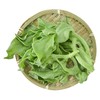 高原冰草 约120g/盒（蔬菜） 商品缩略图1