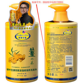 琴叶（Q&Y）侧柏叶生姜洗发水1000ml 经典P104 防脱育发 强根保养 韧发控油