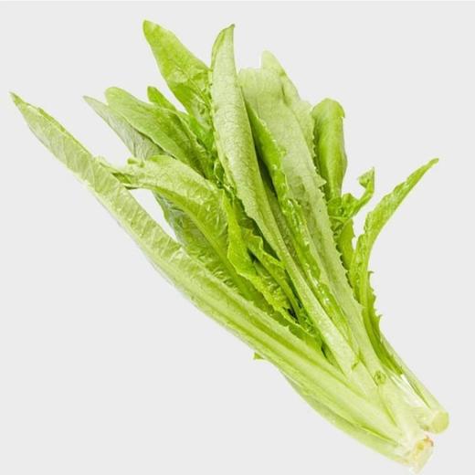 “阿德童年”油麦菜（约300g） 商品图0