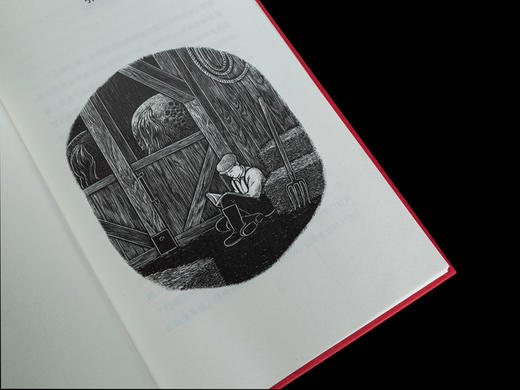 (仓发) 书情书/上海人民出版社/[德],布克哈德·施皮南（Burkhard,Spinnen）,,，,[德],琳娜·霍文（Line/9787208162464 商品图9