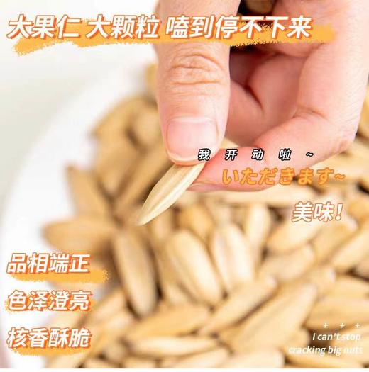 好吃到停不下来！【古法打手瓜子】内蒙古363葵花籽 粒粒饱满 香脆可口 好吃不易上火 100g/袋*8袋 商品图2