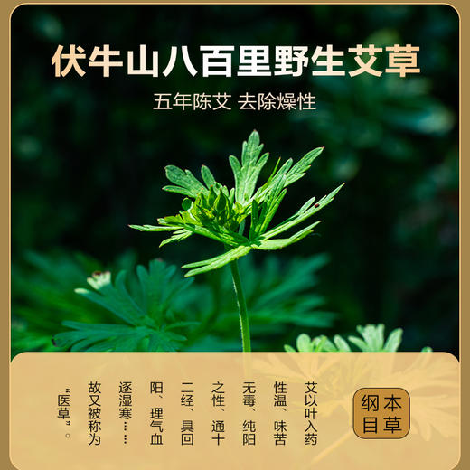 【象艾益家】五年陈  手搓艾绒  可自制艾条艾柱艾塔 散装称重500g/袋 商品图1