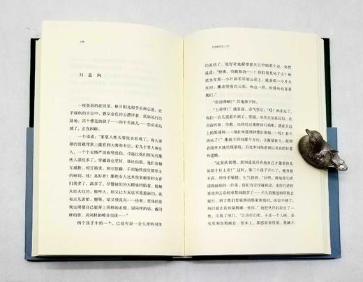 预售！！巴别塔诗典精装5种：《巴黎的忧郁》《迟来的旅行者》《遗失的赤luo》《在冬日光线里》《眼睛后面》，精装，波德莱尔、赫列勃尼科夫、李立扬、雅各泰、勒内.夏尔等著，人民文学出版社2020年左右版 商品图12