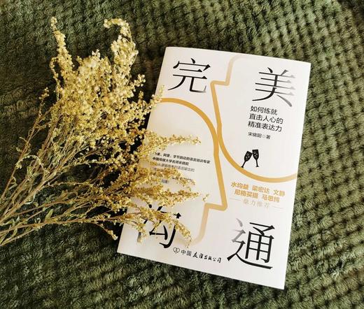 (仓发) 完美沟通 /中国友谊出版公司/宋晓阳/9787505748859 商品图3
