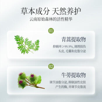 征服青蒿控油蓬松洗发水清爽去油蓬松高颅顶去屑止痒洗发乳露液800ml 商品图0