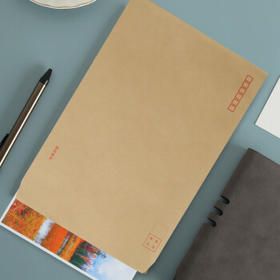 【全网低价】天章（TANGO）信封9号A4牛皮纸大信封袋229*324mm文件袋120g加厚40只/包大号C4邮局标准信封