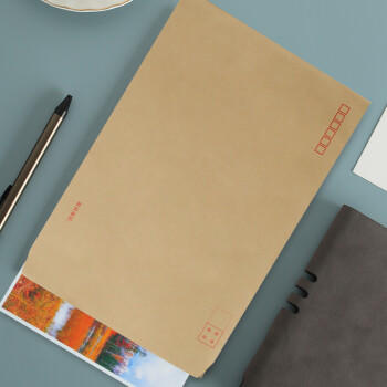 【全网低价】天章（TANGO）信封9号A4牛皮纸大信封袋229*324mm文件袋120g加厚40只/包大号C4邮局标准信封 商品图0