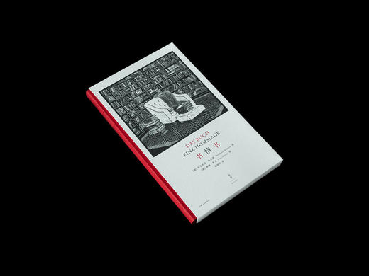 (仓发) 书情书/上海人民出版社/[德],布克哈德·施皮南（Burkhard,Spinnen）,,，,[德],琳娜·霍文（Line/9787208162464 商品图2