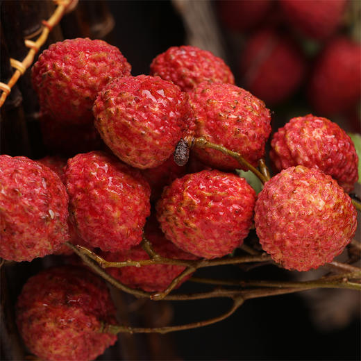 仙进奉贡品荔枝肉厚籽小香滑甜嫩鲜果现摘空运包邮