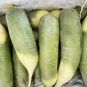 연변청무우绿皮萝卜1000g