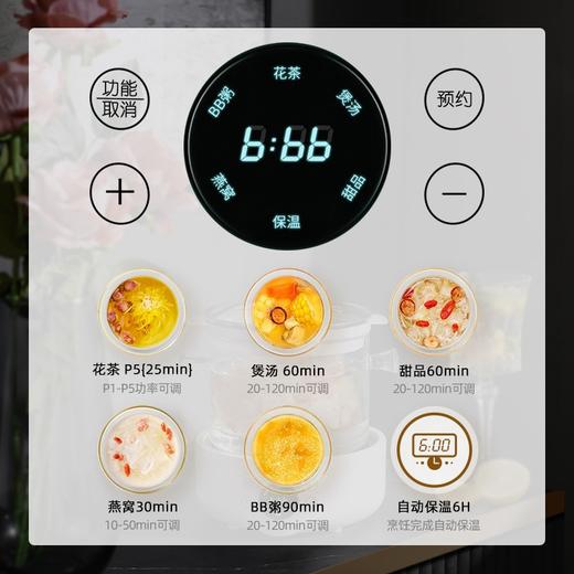 养生壶玻璃多功能恒温智能炖煮花茶壶煮茶烧水壶电热水壶 商品图4