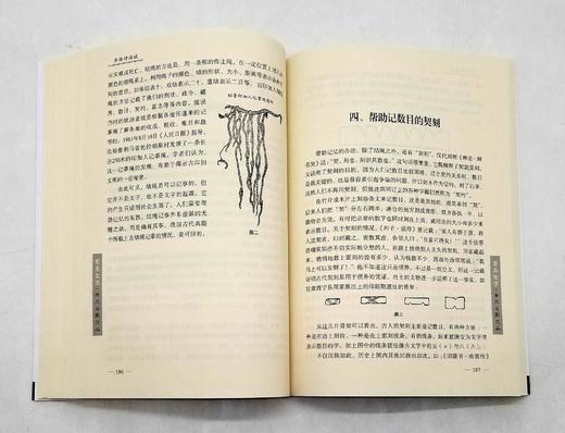 云南文库稀缺本：《异体诗浅说》，16开平装，吴积才著，云南人民出版社2016年版，定价70，售价21元，非偏远地区包邮。品相9成。

“异体诗”或“杂体诗” ，是指人们还不太熟悉的嵌字诗、藏头诗、连珠 商品图9