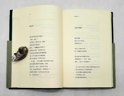 预售！！巴别塔诗典精装5种：《巴黎的忧郁》《迟来的旅行者》《遗失的赤luo》《在冬日光线里》《眼睛后面》，精装，波德莱尔、赫列勃尼科夫、李立扬、雅各泰、勒内.夏尔等著，人民文学出版社2020年左右版 商品图6