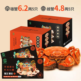 良仁正品阳澄湖大闸蟹御臻五对装雄蟹/6.2两/5只雌蟹/4.8两/5只
