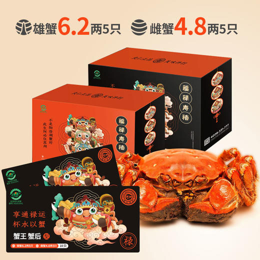 良仁正品阳澄湖大闸蟹御臻五对装雄蟹/6.2两/5只雌蟹/4.8两/5只 商品图0
