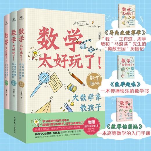 数学太好玩了(大数学家教孩子这样解题共3册)马先生谈算学 数学趣味 数学的园地 三册 刘薰宇 陕西师范大学出版社 商品图1