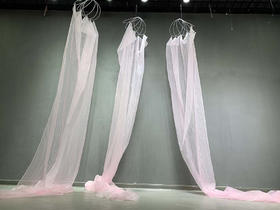 飘逸纱（运费自理）