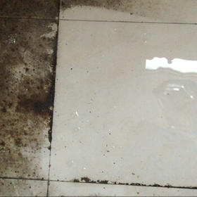 麦格丽草酸清洁剂5斤装强力瓷砖地面清洗剂水泥草酸溶液厕所马桶洁厕液