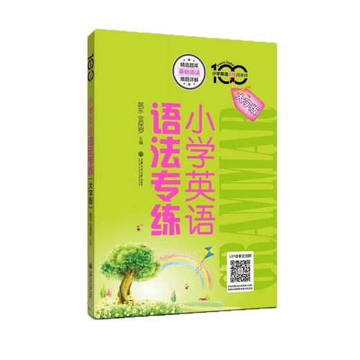 小学英语语法专练:大字版 商品图0