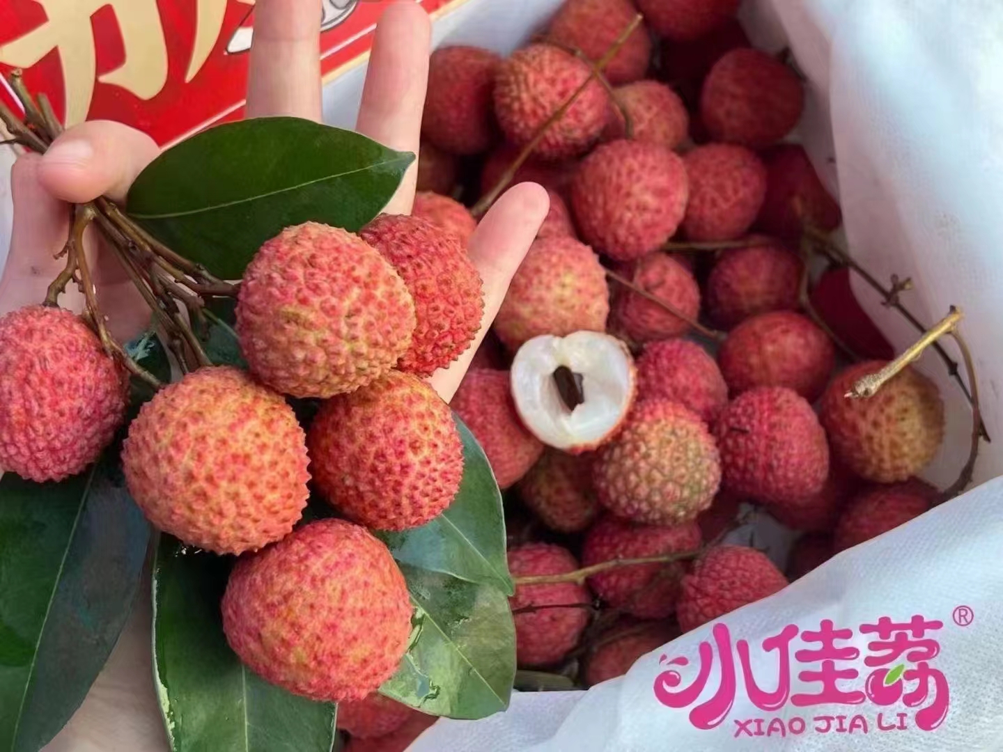 明亮的"胭脂红",细腻的奶白色果肉,柔滑细嫩,甜中夹带着浓蜜感,余味