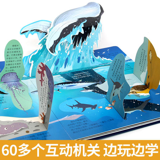 探秘海洋立体书3d揭秘系列儿童翻翻书6-8岁以上绘本故事书海底世界科普百科全书宝宝启蒙认知三地折叠书本幼儿园婴儿3岁情景体验 商品图3