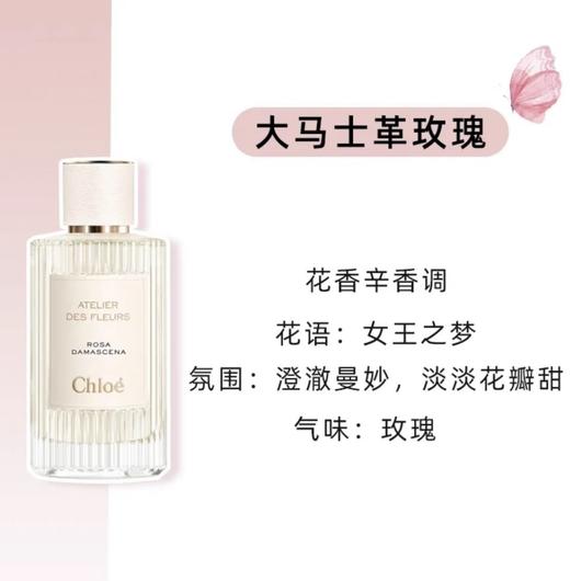Chloe蔻依克洛伊仙境花园木兰诗语北国雪松马鞭草纸莎草女士香水 商品图3
