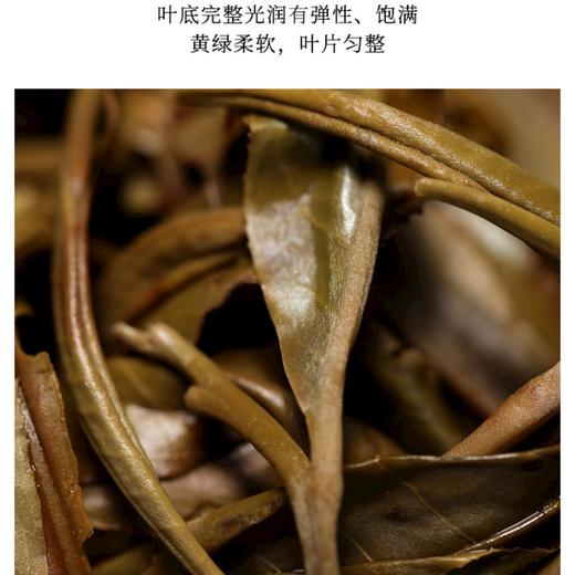 【中老铁路通车纪念茶】同庆号 黄金万两 普洱生茶 250g/饼 商品图3